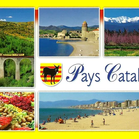 Сasa de vacaciones Maison Au Pied De La Cathedrale Elne