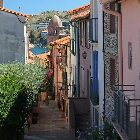 Maison Au Pied De La Cathedrale Elne